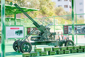 金石实验中学国际部展览