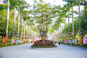 金石实验中学国际部校园内部