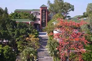 象贤中学国际部图书馆