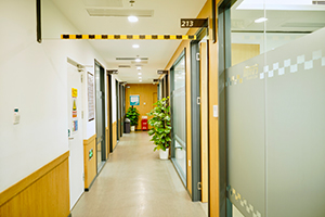 新东方国际教育走廊