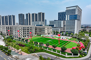 佛山市加优外籍人员子女学校鸟瞰图