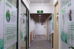 新洲际教育走廊