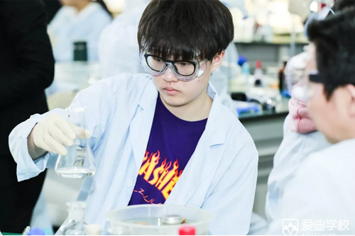 北京爱迪学校澳洲国际高中招生简章