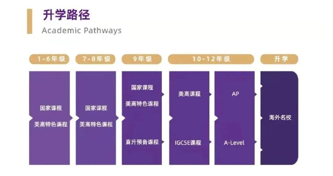 上海美高双语学校升学路径