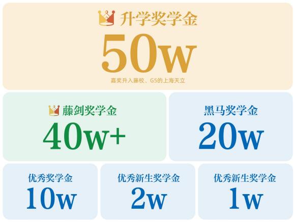 上海美达菲学校奖学金计划