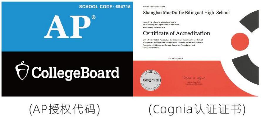 上海美达菲学校美高AP课程资质