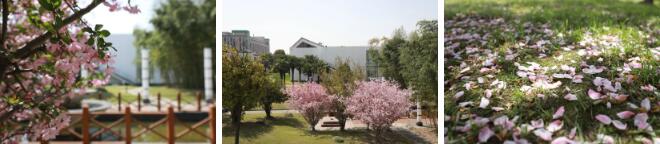 上海美达菲学校校园环境