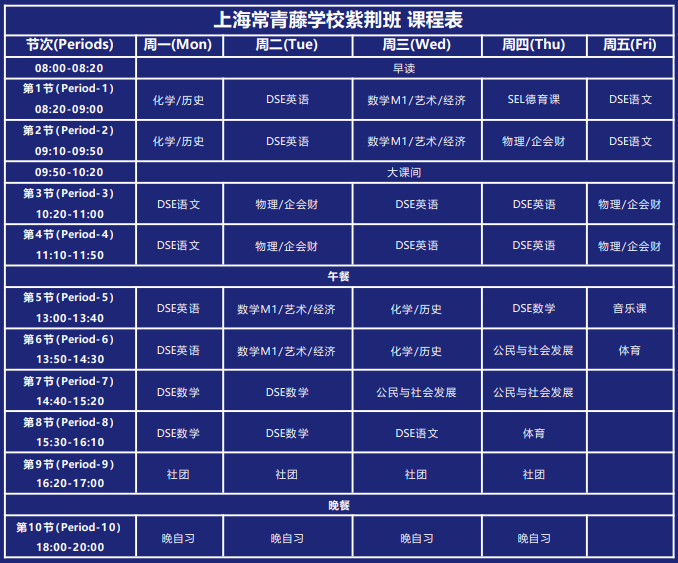 上海常青藤学校香港dse课程设置