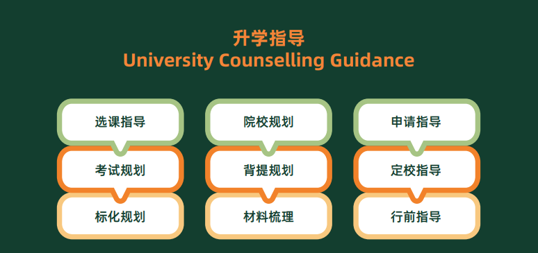 上海籽奥高中升学指导