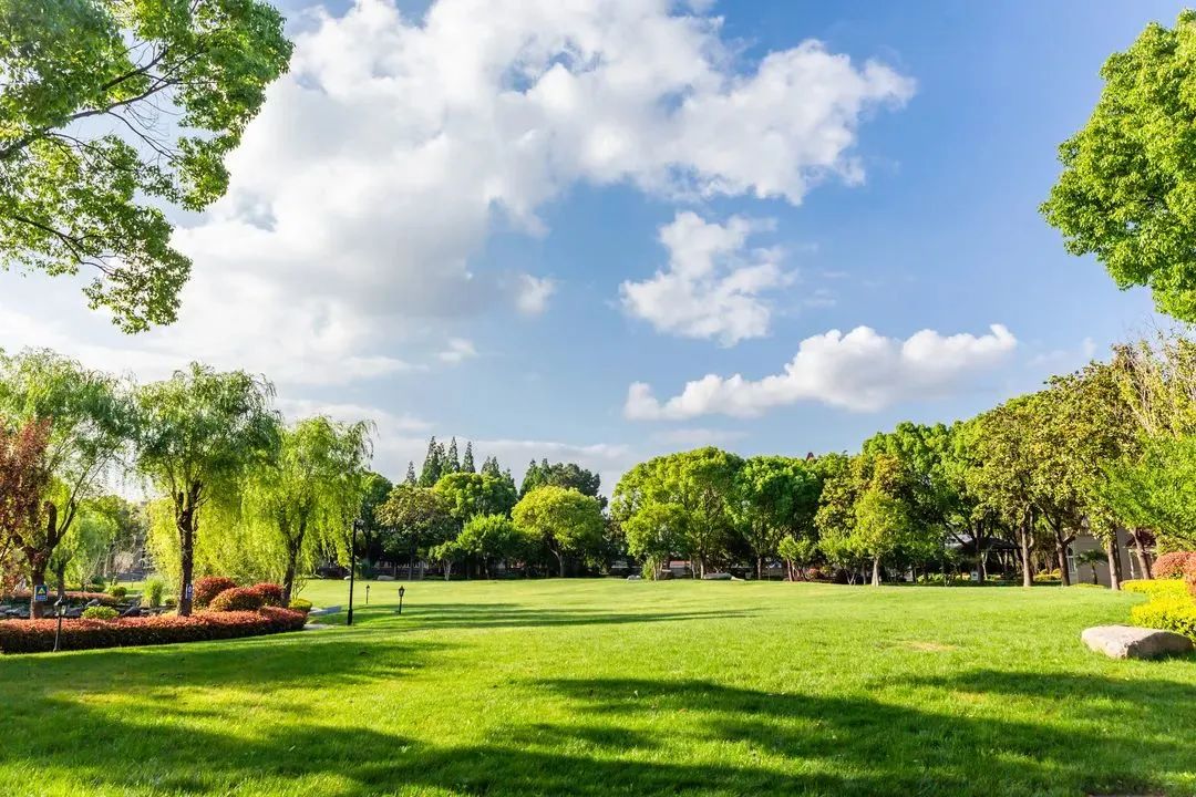 美华学校地缘优势